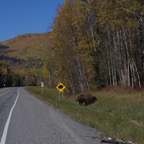 I - Larger than Life – 73.jpg