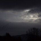 II - Cassiar to Prince George – 51.jpg