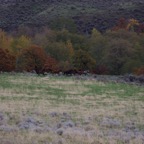 I -bis Portland – 30.jpg