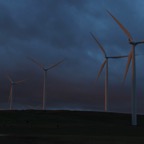 I -bis Portland – 32.jpg