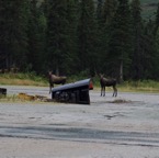 III- zur Grenze – 11.jpg