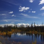 III- zur Grenze – 17.jpg