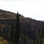 III- zur Grenze – 49.jpg