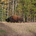 I - Larger than Life – 57.jpg