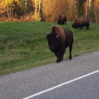 I - Larger than Life – 59.jpg