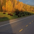 I - Larger than Life – 60.jpg