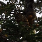 I - Larger than Life – 63.jpg