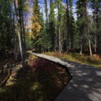 I - Larger than Life – 65.jpg