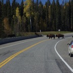 I - Larger than Life – 74.jpg