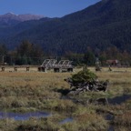 II - Cassiar to Prince George – 35.jpg