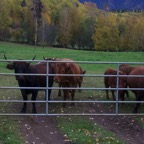 II - Cassiar to Prince George – 48.jpg