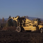 III - südöiches BC – 07.jpg