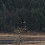 III - südöiches BC – 13.jpg