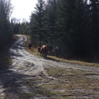 III - südöiches BC – 17.jpg