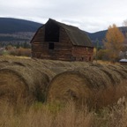 III - südöiches BC – 37.jpg