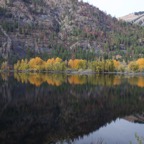 I -bis Portland – 06.jpg