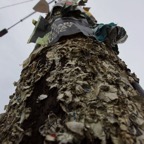 I -bis Portland – 88.jpg