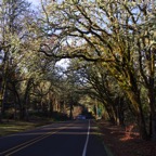 II-bis Sebastopol – 10.jpg