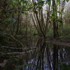 II-bis Sebastopol – 13.jpg