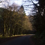 II-bis Sebastopol – 14.jpg