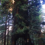 II-bis Sebastopol – 30.jpg