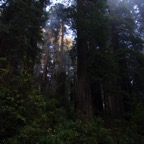 II-bis Sebastopol – 31.jpg