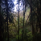 II-bis Sebastopol – 33.jpg