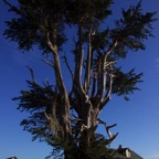 II-bis Sebastopol – 43.jpg