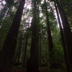 II-bis Sebastopol – 51.jpg