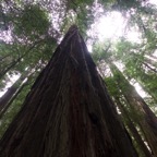 II-bis Sebastopol – 52.jpg