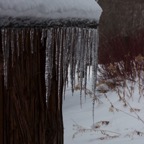 III-Roadtrip – 012.jpg